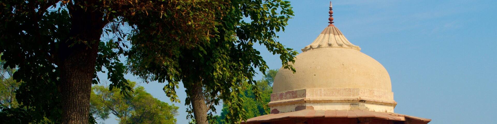Ram Bagh showing a castle and a garden