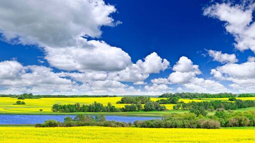 Prairie panorama in Saskatchewan, Canada