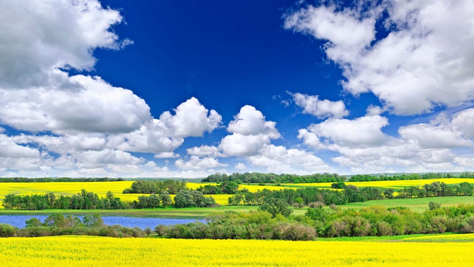 Prairie panorama in Saskatchewan, Canada