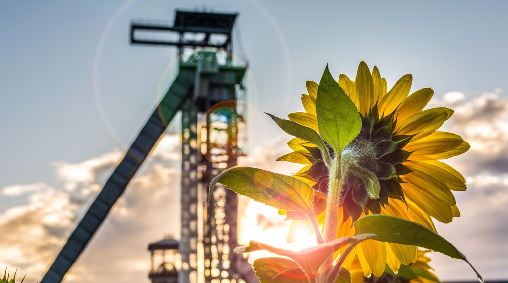 Panoramic View of Coal Mining Towers Surrounded by Lush Nature