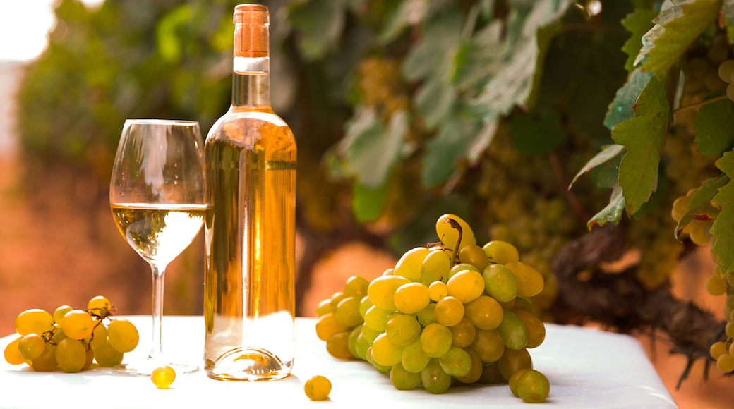 Région viticole du PenedÚs