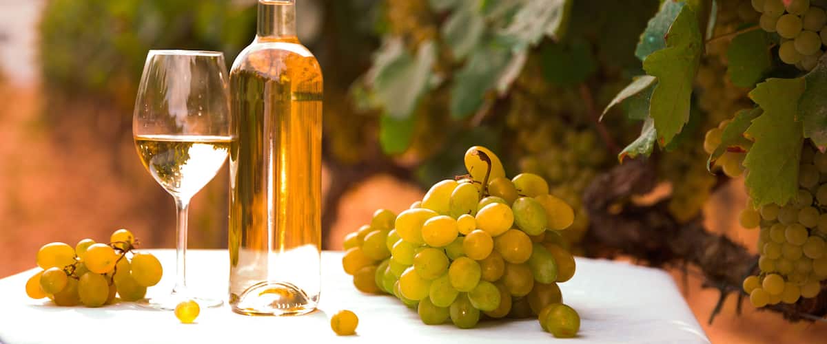 A bottle of white wine, a wine glass, and a bunch of green grapes on a table with a vineyard in the background.