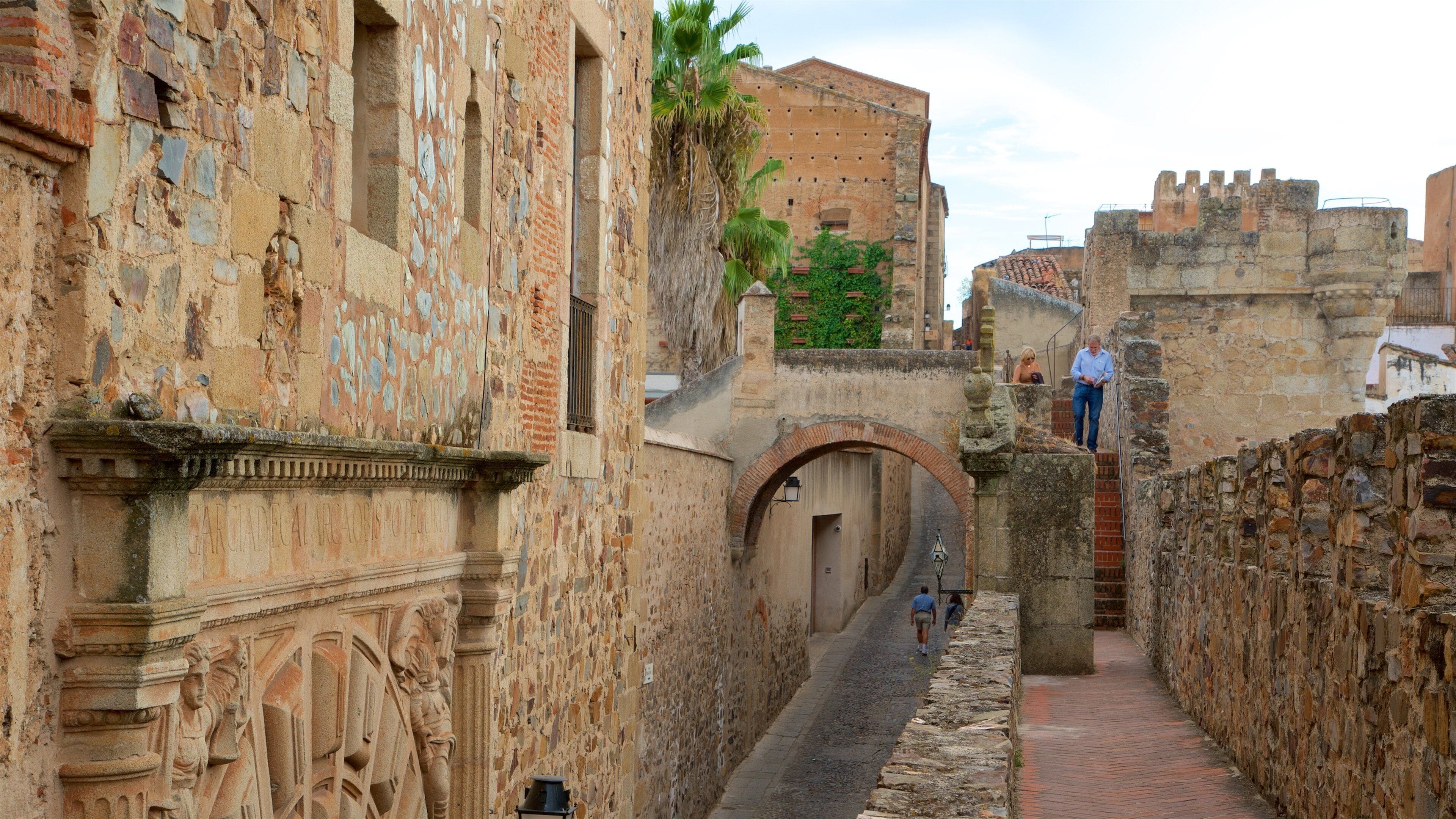 Un estrecho sendero de piedra bordeado por edificios históricos con puertas abovedadas y un muro de piedra.