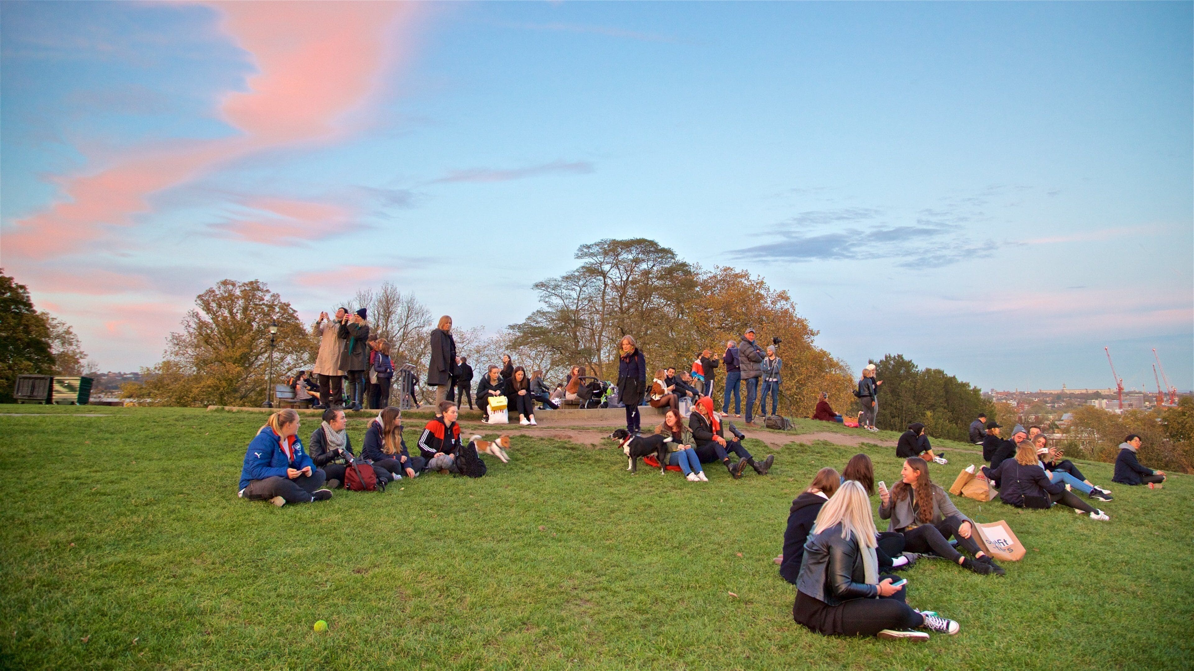 Primrose Hill featuring a park and a sunset as well as a small group of people