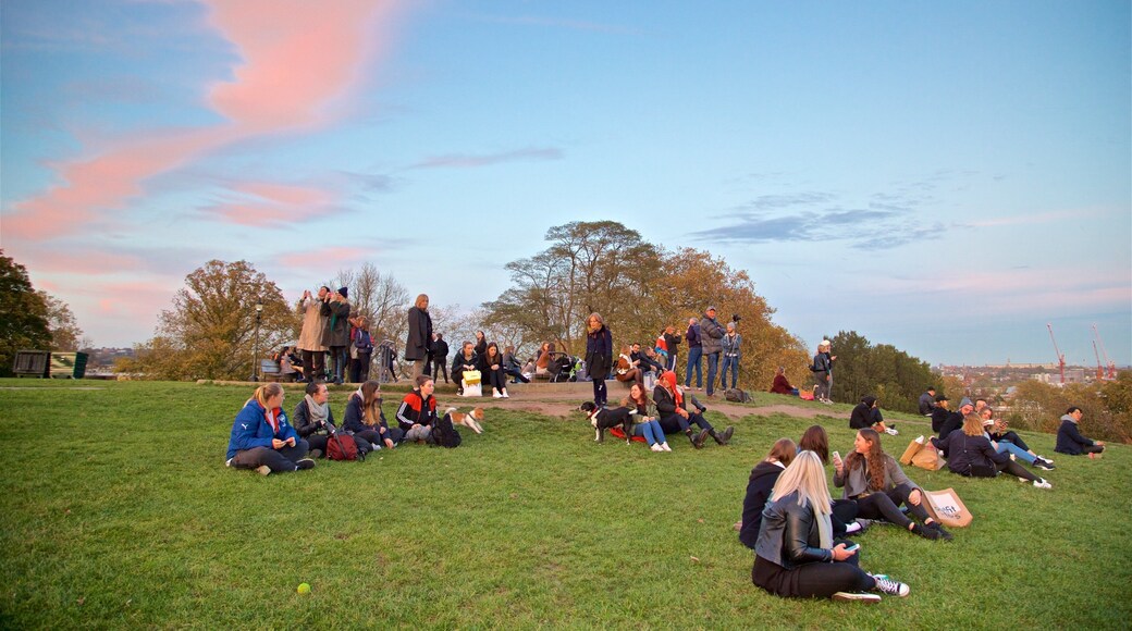 Primrose Hill featuring a park and a sunset as well as a small group of people