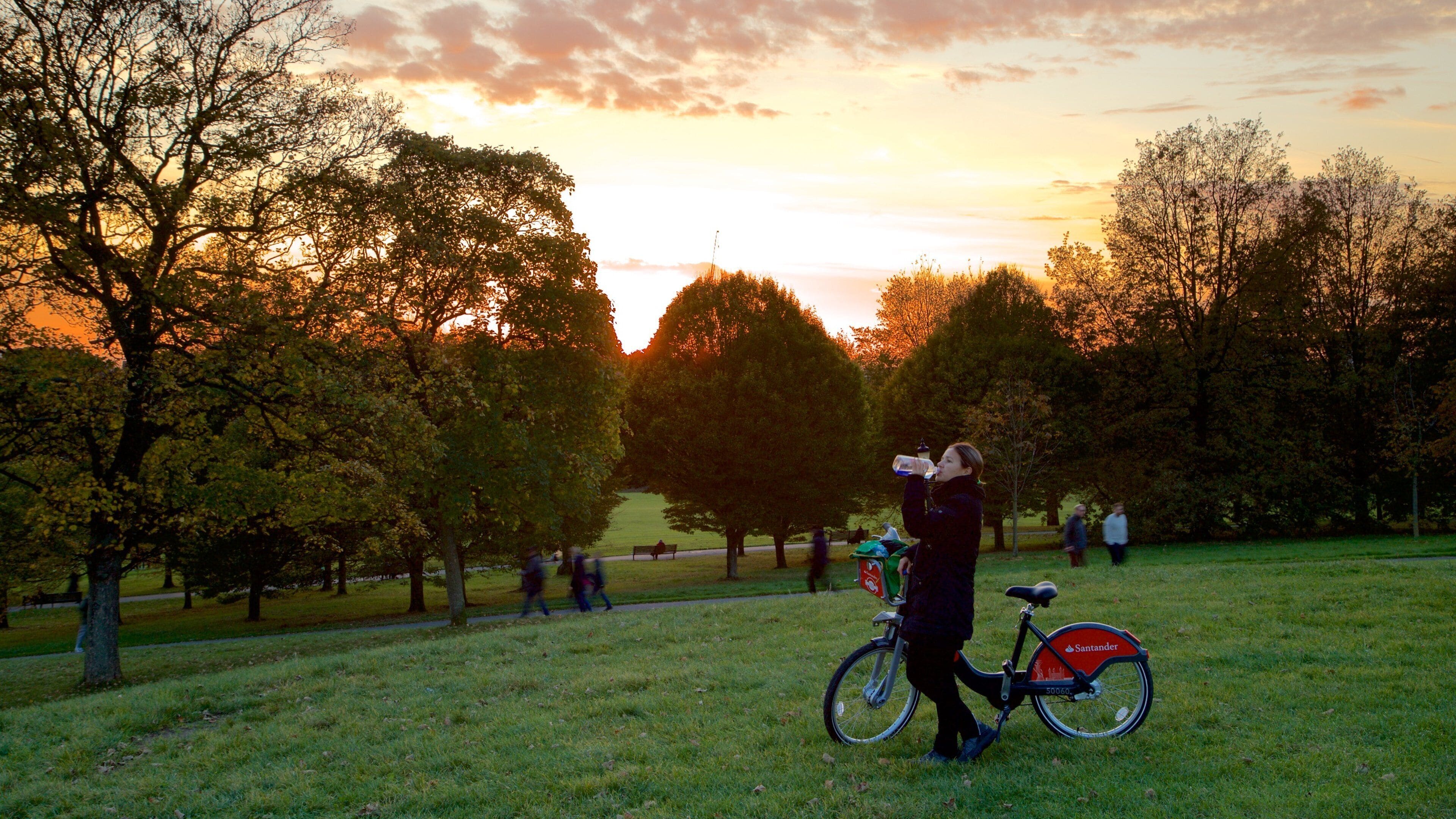 Primrose Hill showing a sunset, a garden and cycling