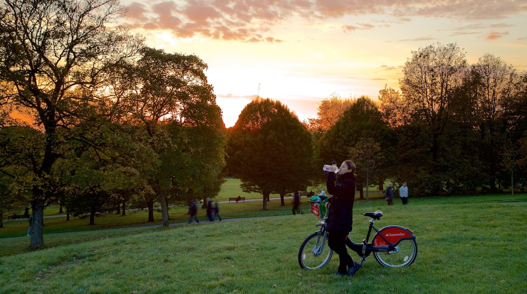 Primrose Hill showing a sunset, a garden and cycling