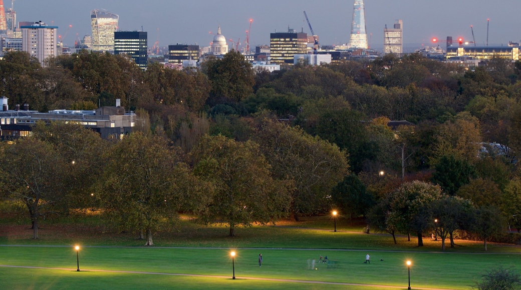 Primrose Hill mit einem bei Nacht, Stadt und Garten