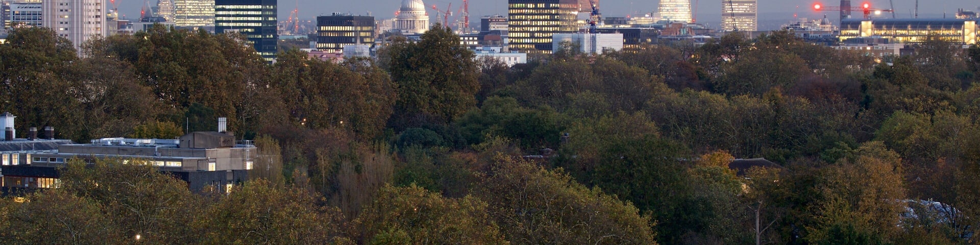 Primrose Hill caratteristiche di città, paesaggio notturno e parco