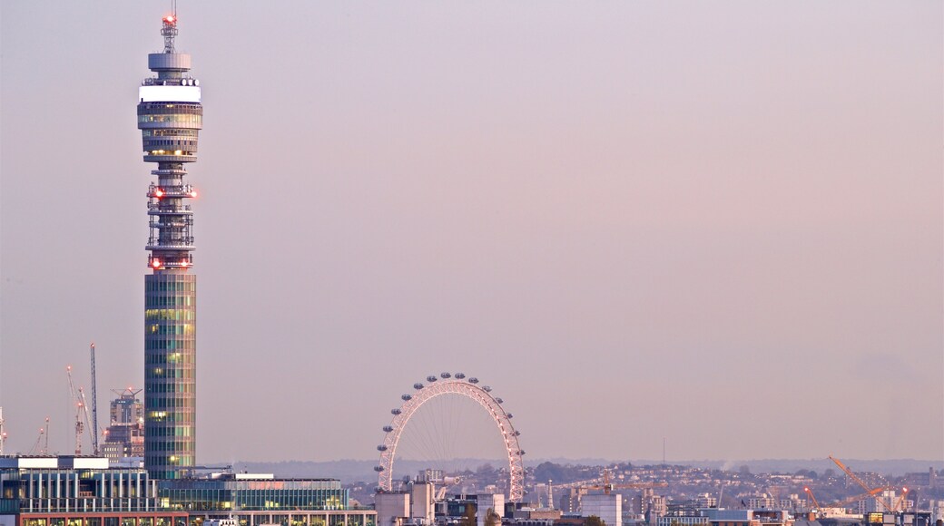 Primrose Hill showing skyline, a sunset and a city