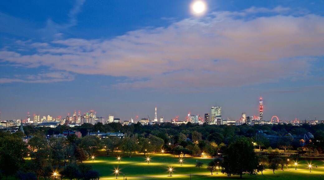 Primrose Hill mit einem Landschaften, Stadt und bei Nacht