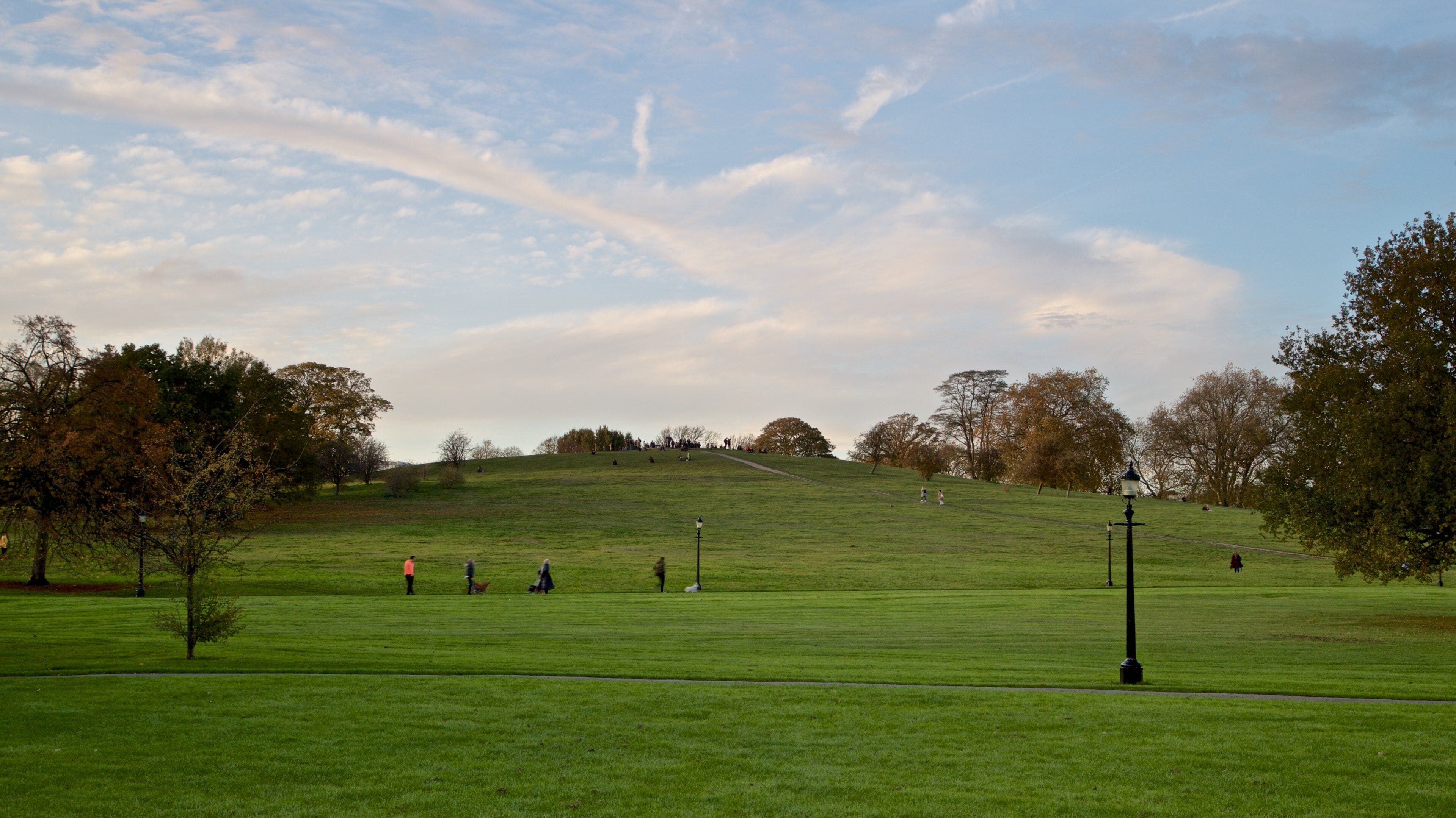 A grassy park with a hill, trees, and a lamppost.