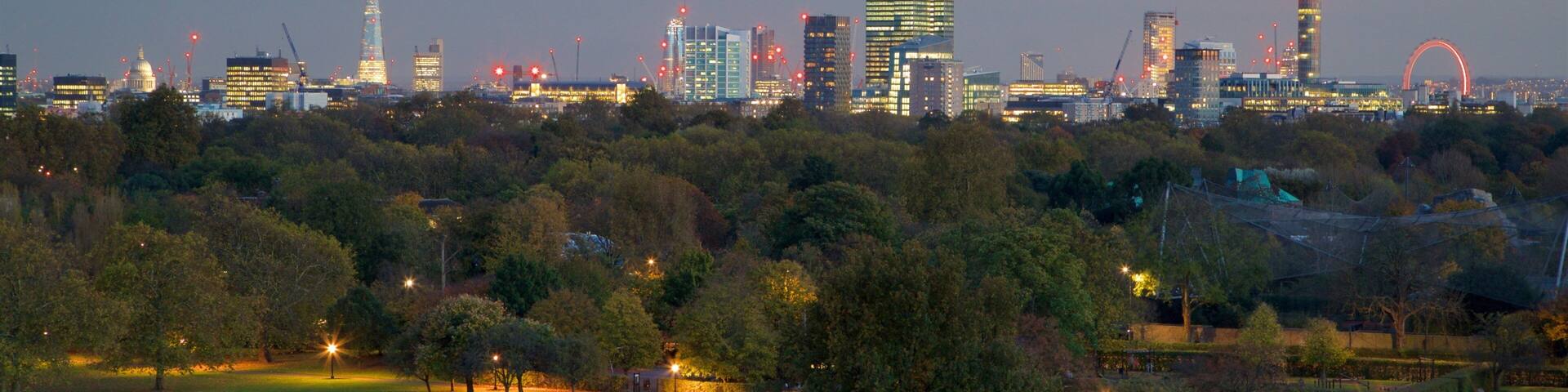 Primrose Hill which includes a city, landscape views and night scenes