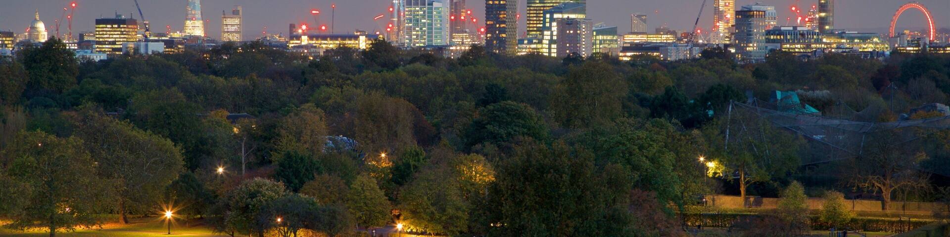 Primrose Hill showing skyline, landscape views and night scenes