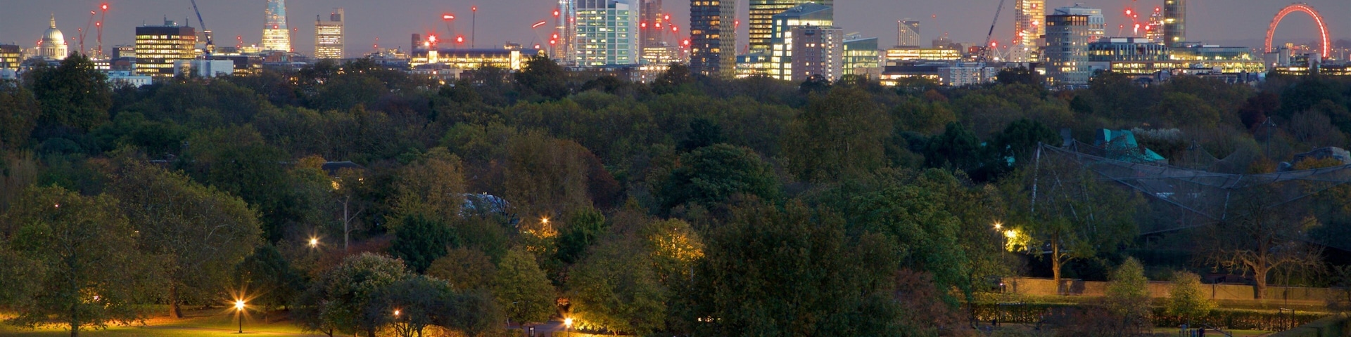 Primrose Hill mostrando città, vista del paesaggio e skyline