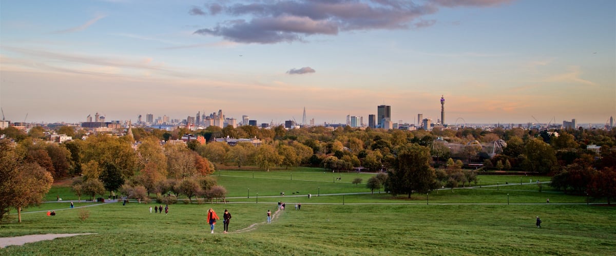 Primrose Hill which includes a city, a sunset and landscape views