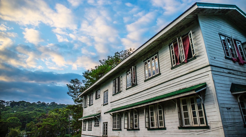 Sky is the Limit 🏞