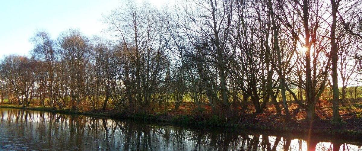 A calm river reflecting leafless trees and the sun setting on the horizon.