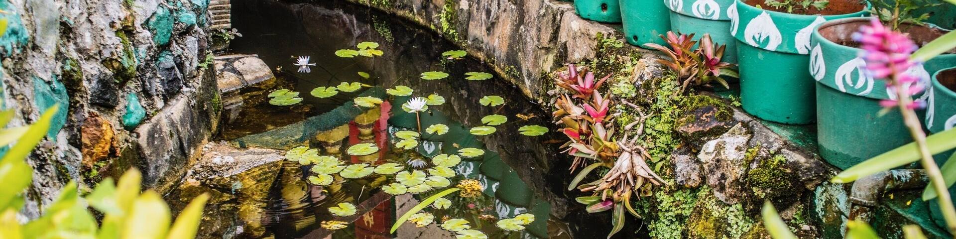 Beauty Down Under 🍃