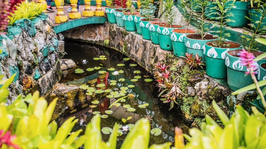 Beauty Down Under 🍃