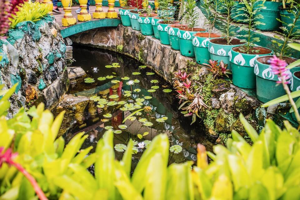 Um jardim com uma ponte de pedra, nenúfares e diversos vasos de plantas.