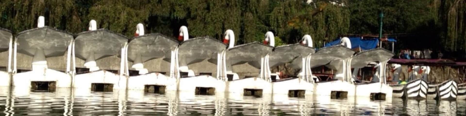 Beautiful morning in Burnham Park