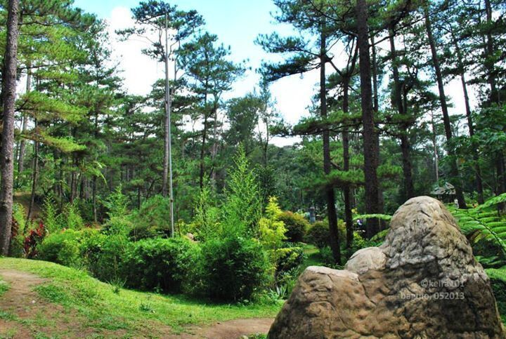 The garden was still not finished when we were there