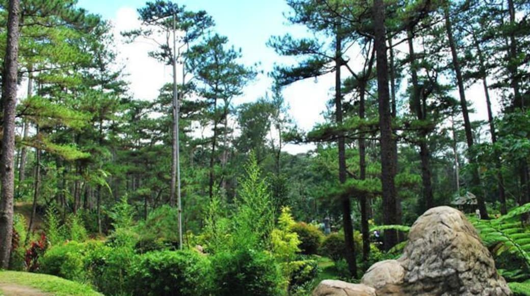 The garden was still not finished when we were there