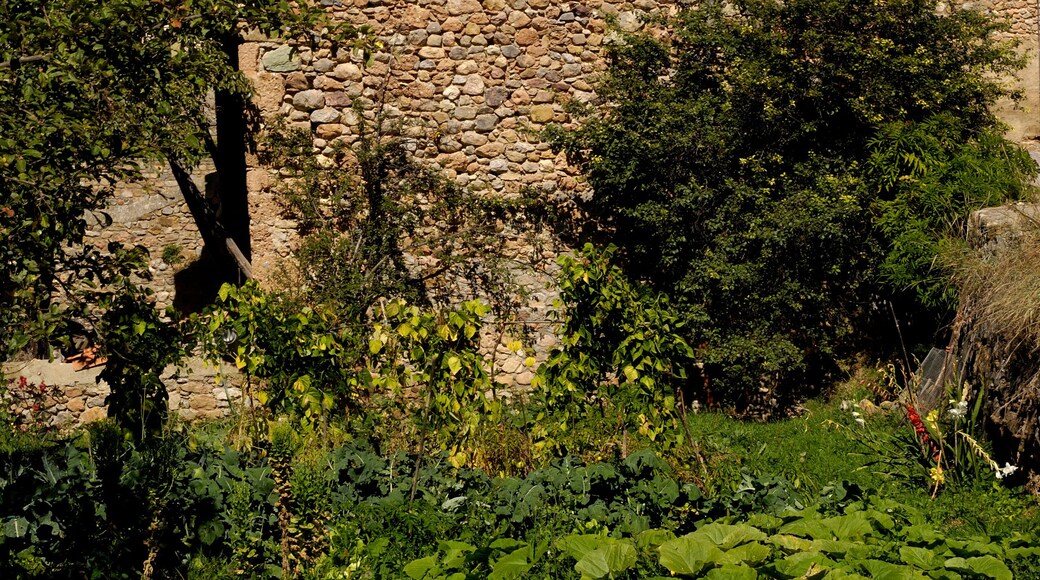 Village of Santa Eugenia de Nerella, Pyrenees, LLeida province,Catalonia, Spain