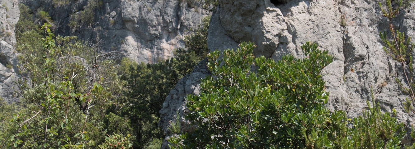 Le Gardien, Cirque de Moureze Gelological interesting area for walks