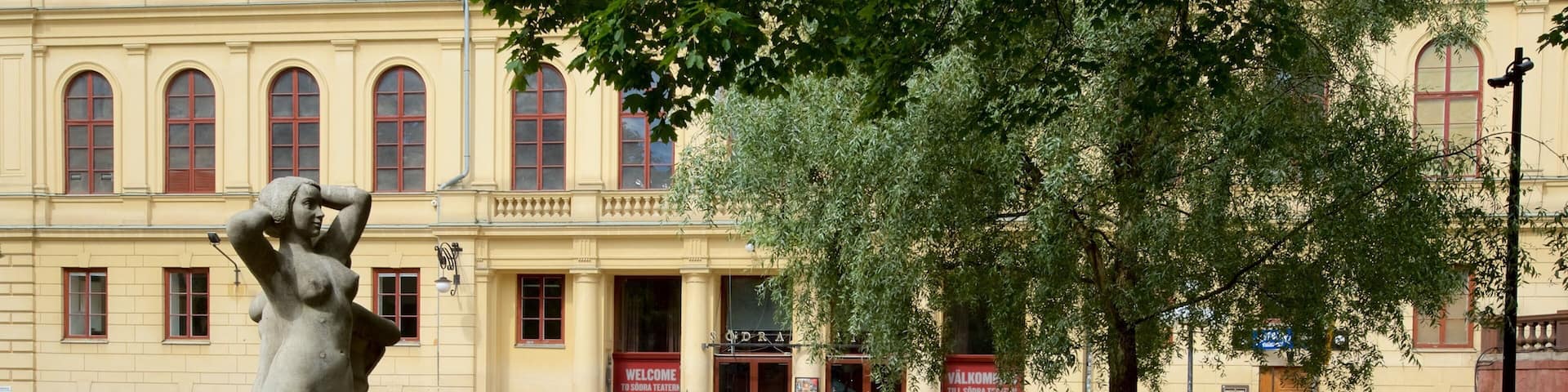 Mosebacke Square featuring a fountain