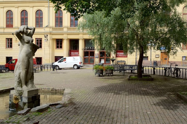 Mosebacke Square which includes a fountain