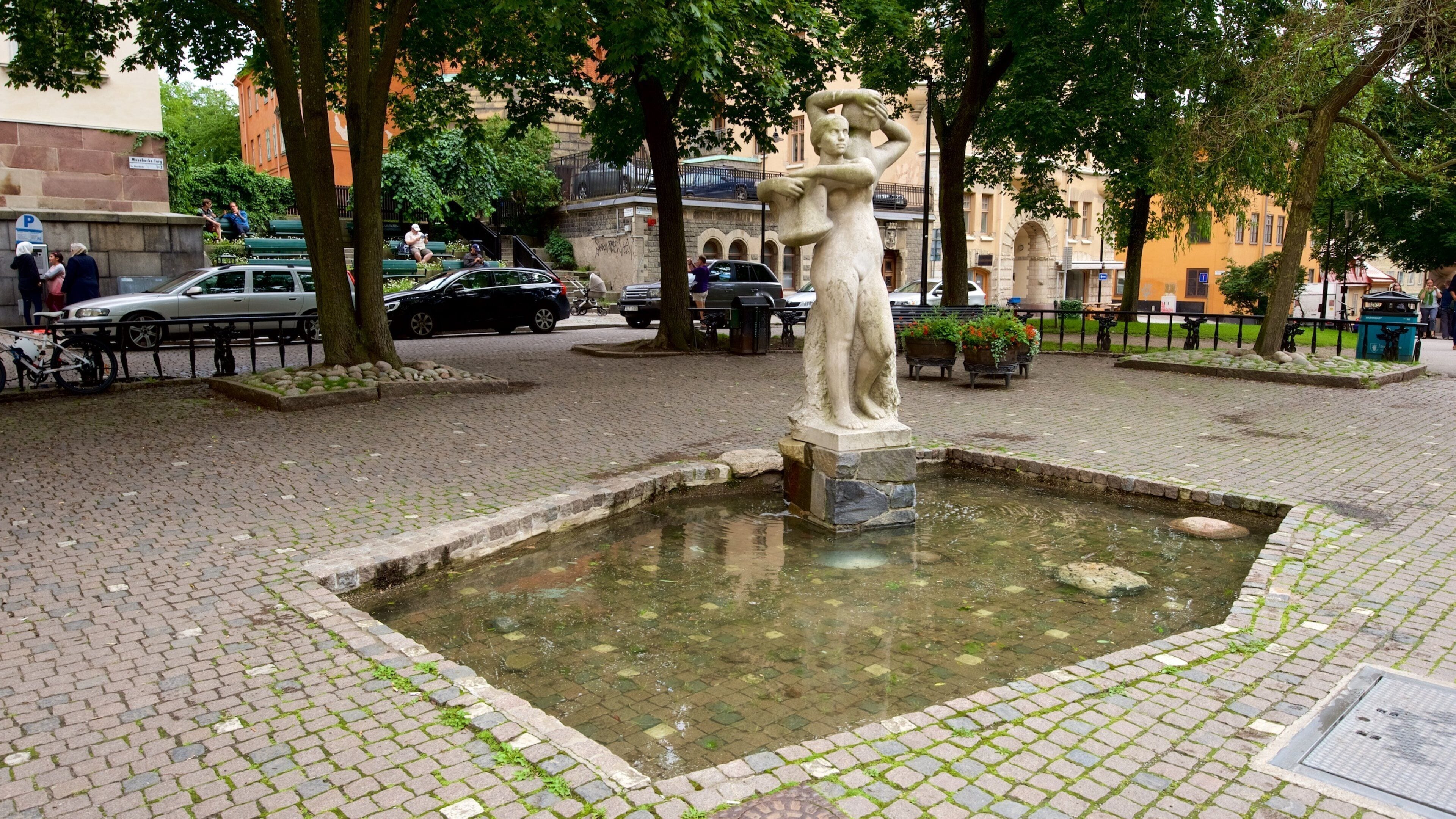Mosebacke Square showing a fountain