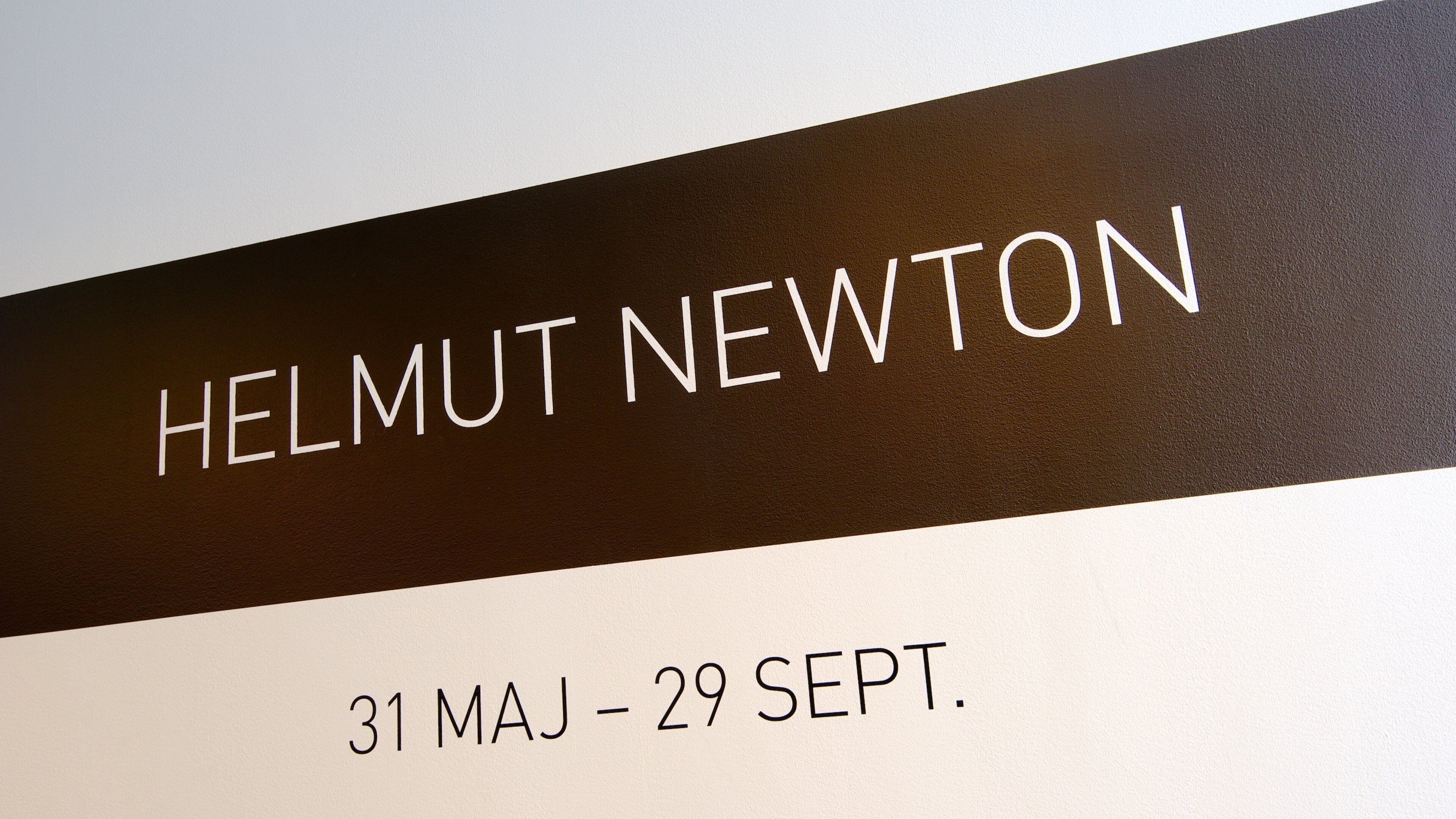 포토그라피스카 을 보여주는 신호