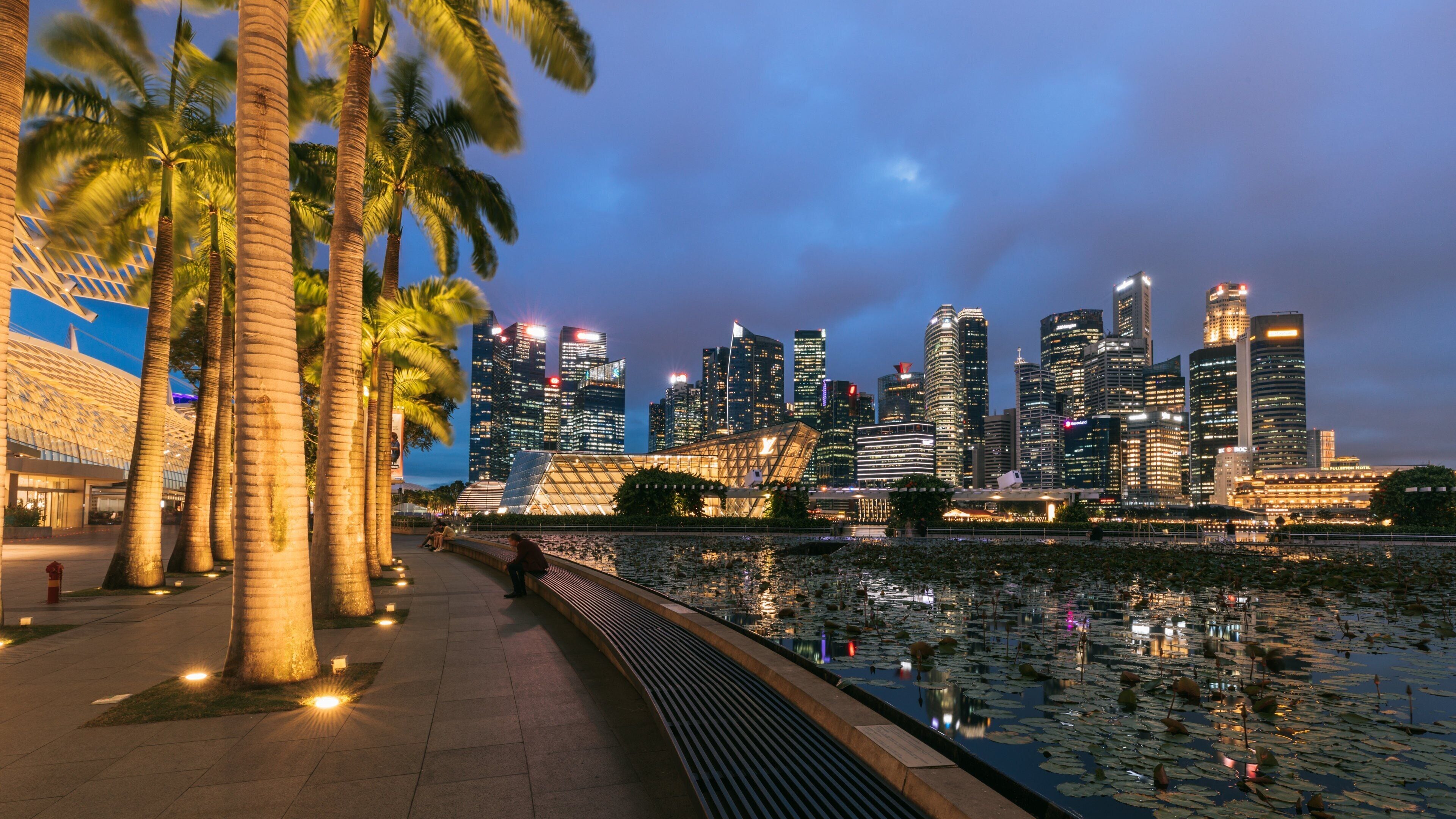 ArtScience Museum which includes a city, night scenes and a pond