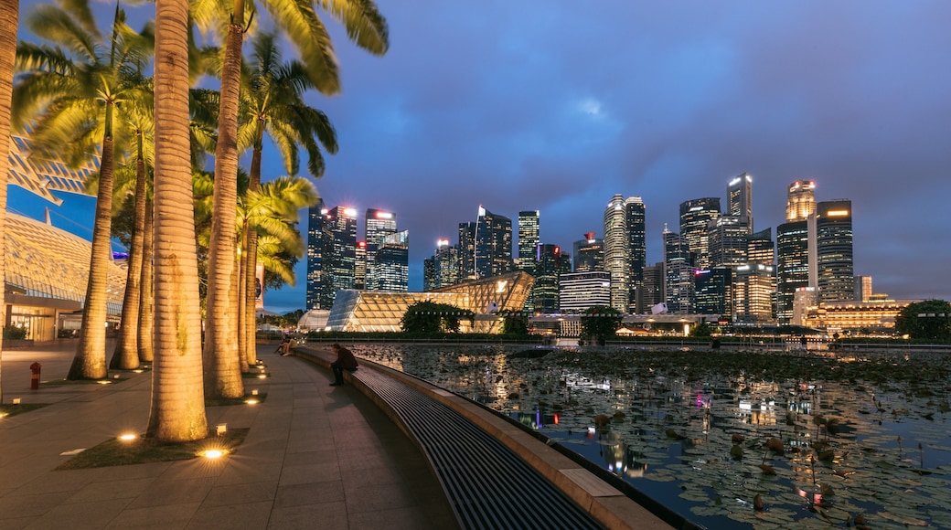 ArtScience Museum which includes a city, night scenes and a pond