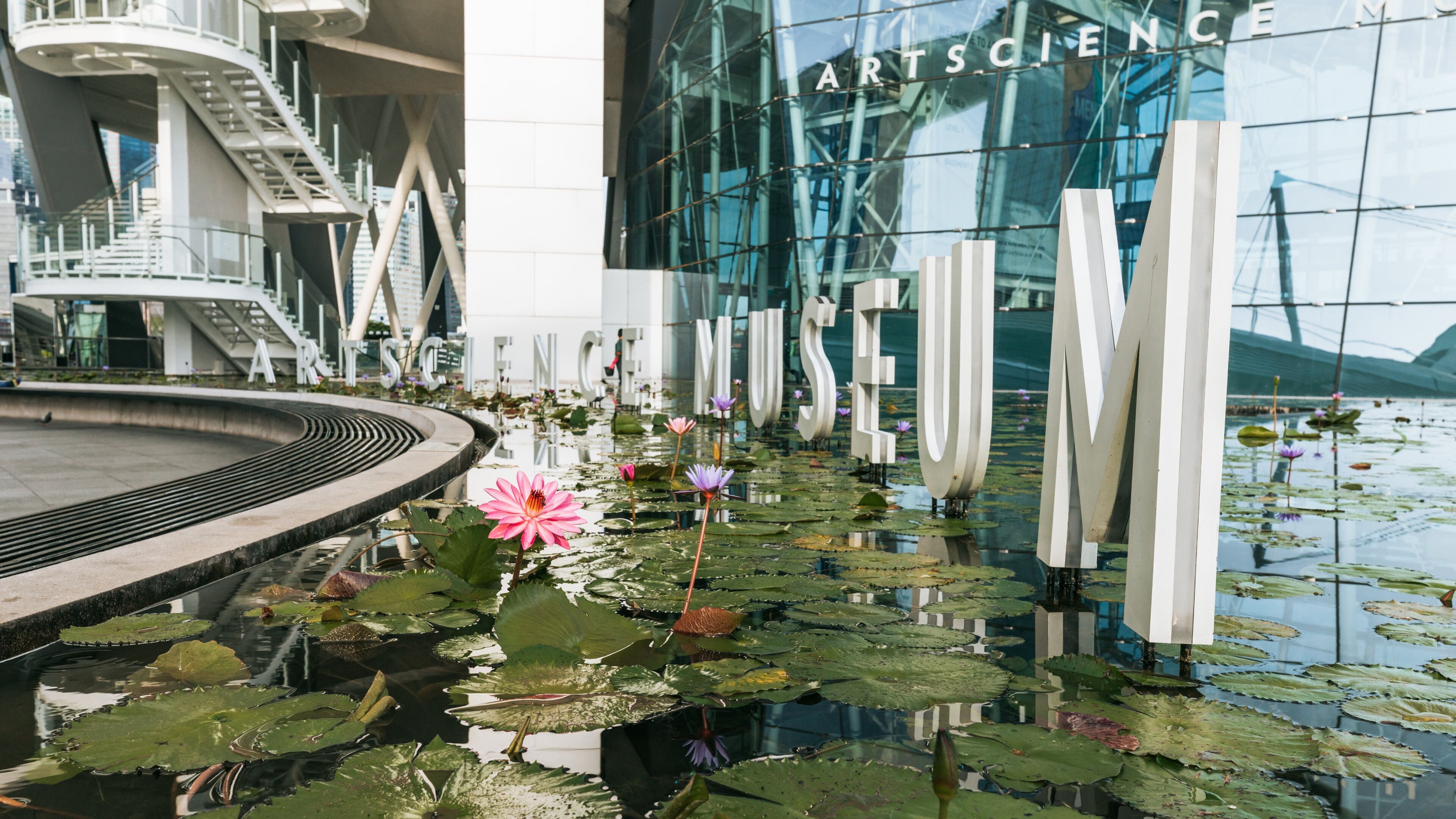 ArtScience Museum which includes a pond, signage and wildflowers