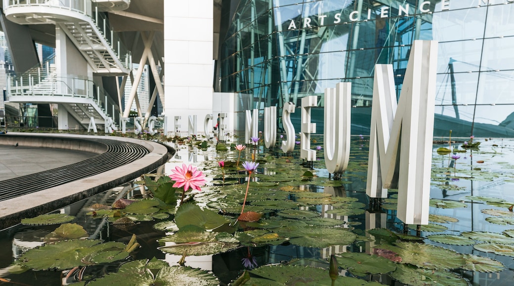 ArtScience Museum which includes a pond, signage and wildflowers