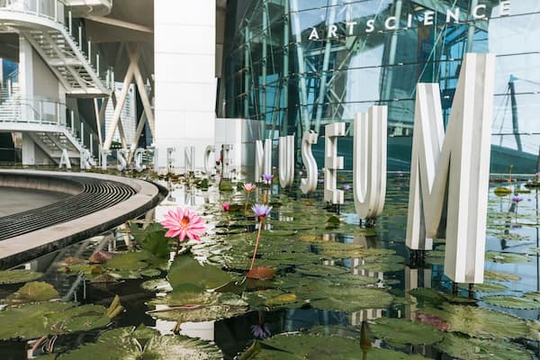 ArtScience Museum which includes a pond, signage and wildflowers