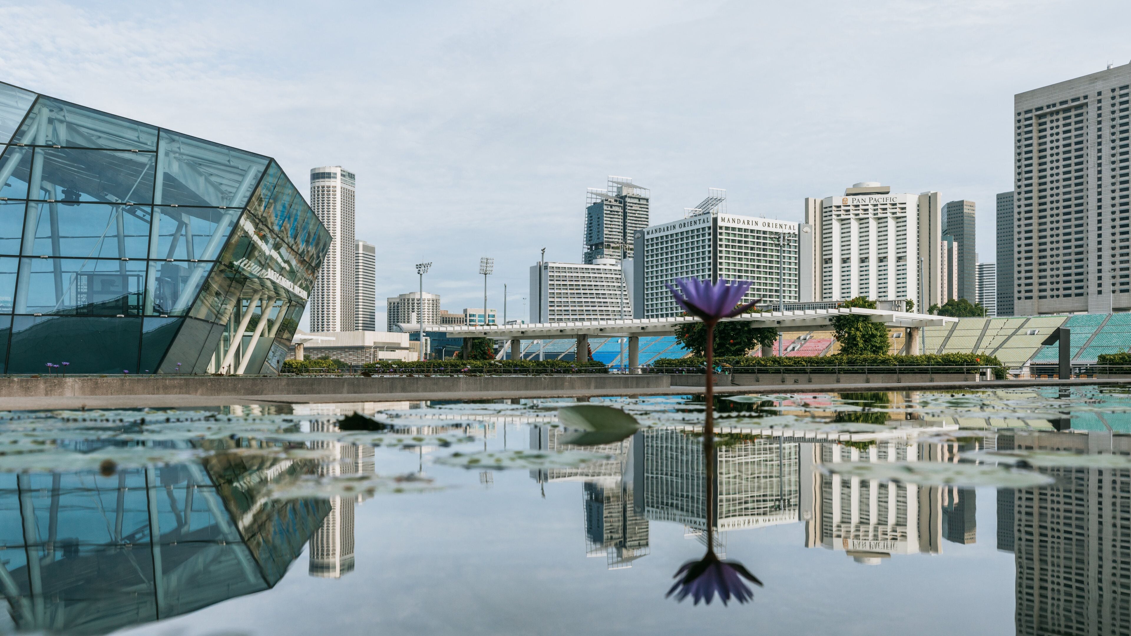 ArtScience Museum which includes a city and a pond