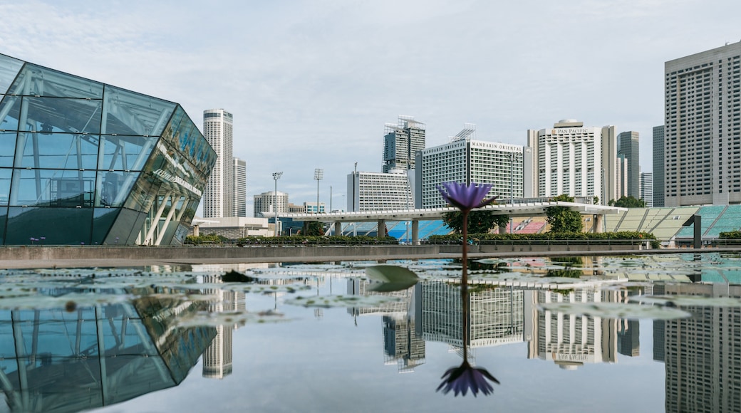 ArtScience Museum which includes a city and a pond