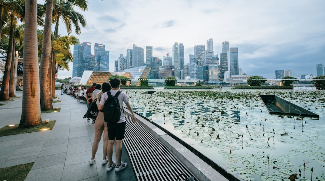 ArtScience Museum which includes a pond and a city as well as a couple