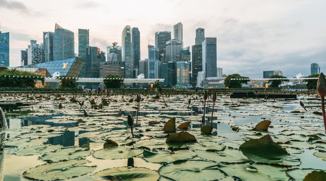 ArtScience Museum which includes a pond and a city