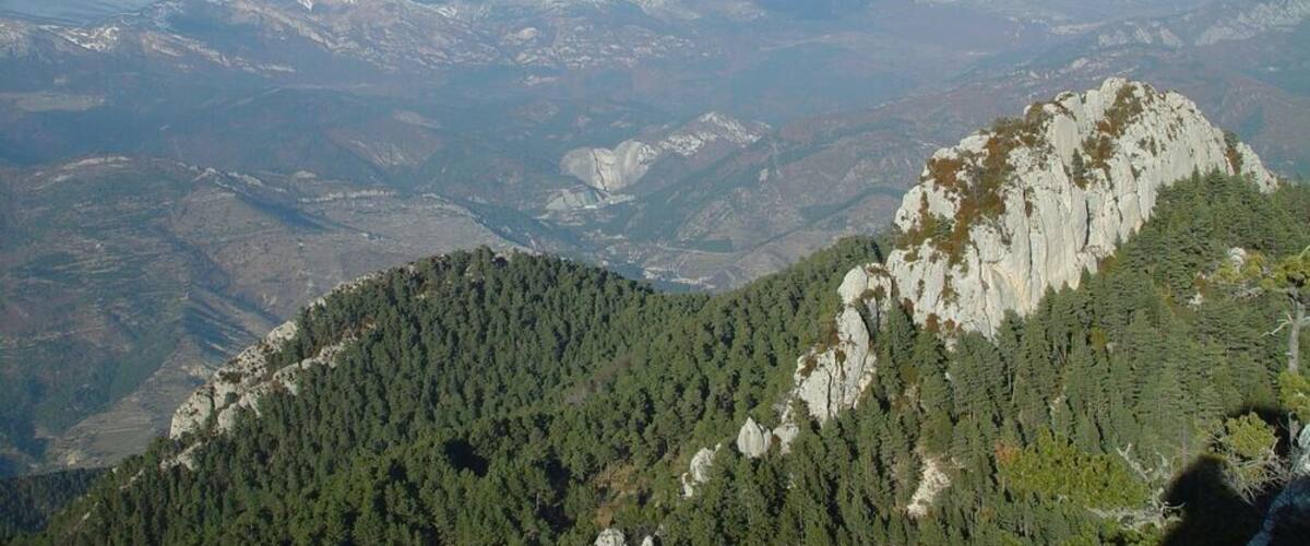 A mountainous landscape with a prominent rocky peak and dense forested areas.
