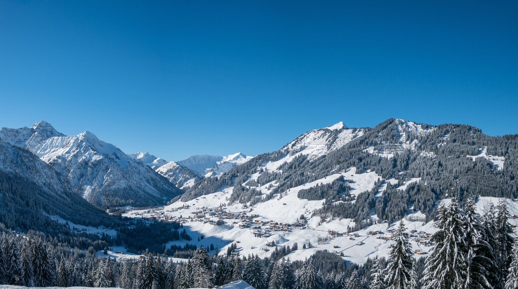 Winterpanorama Kleinwalsertal vom Elfer bis zum Walmedinger Horn