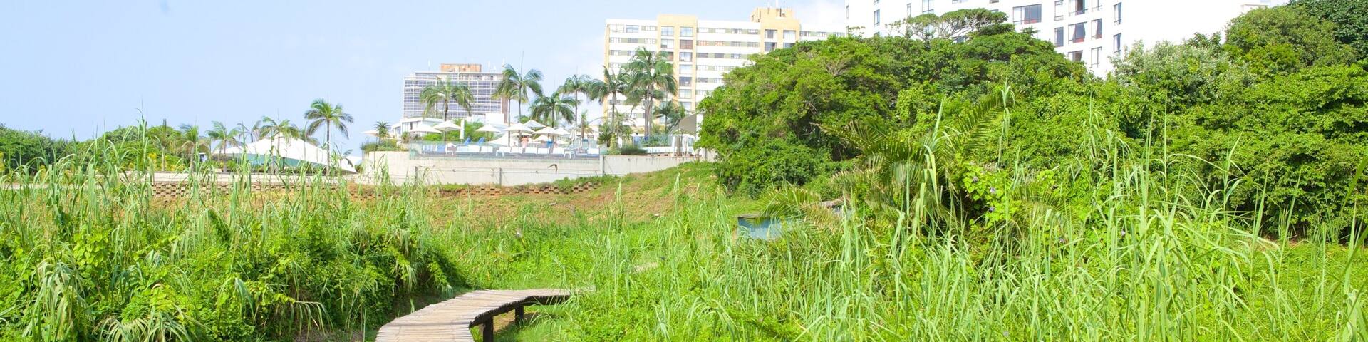 Activité ludique Umhlanga Lagoon Nature Trail montrant ville cÎtiÚre, hÎtel et vues littorales