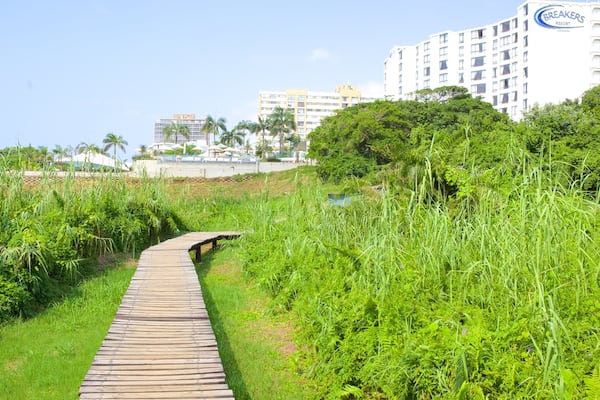 Activité ludique Umhlanga Lagoon Nature Trail montrant ville cÎtiÚre, hÎtel et vues littorales