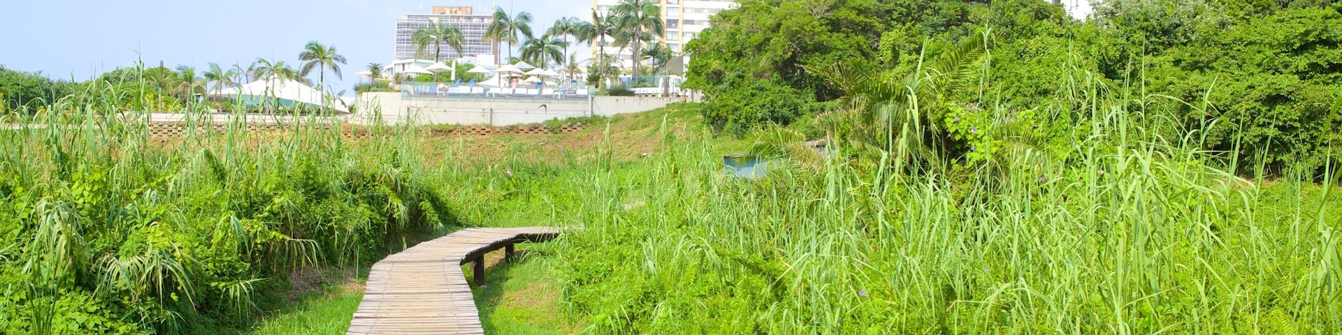 Umhlanga Lagoon Nature Trail which includes general coastal views, a hotel and a coastal town