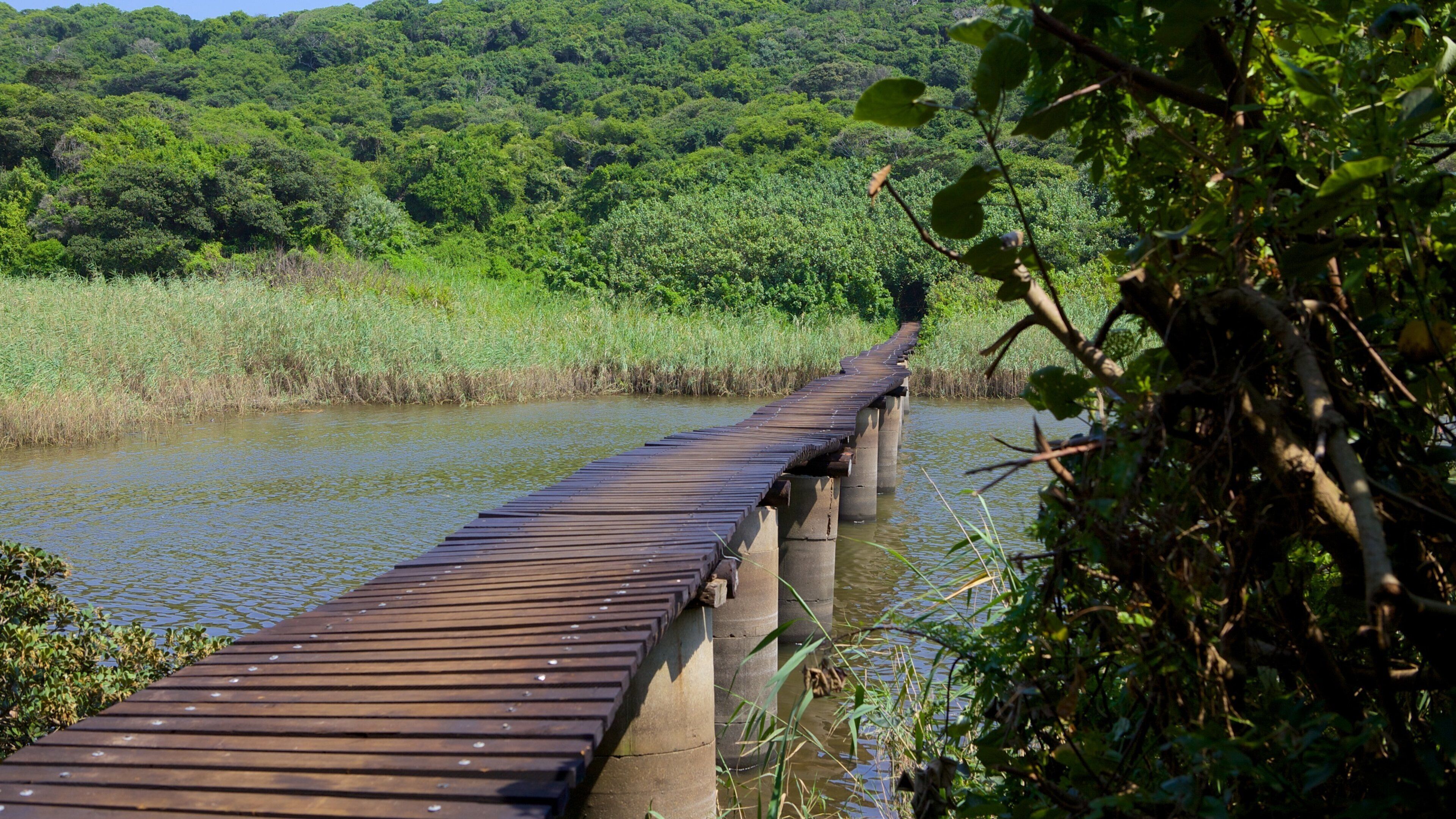 Umhlanga Lagoon Nature Trail which includes landscape views, a lake or waterhole and forests