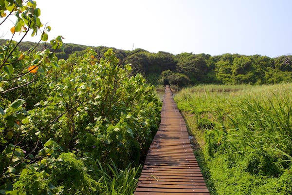 Reserva natural Umhlanga Lagoon Nature Trail ofreciendo un puente, bosques y vistas panorámicas
